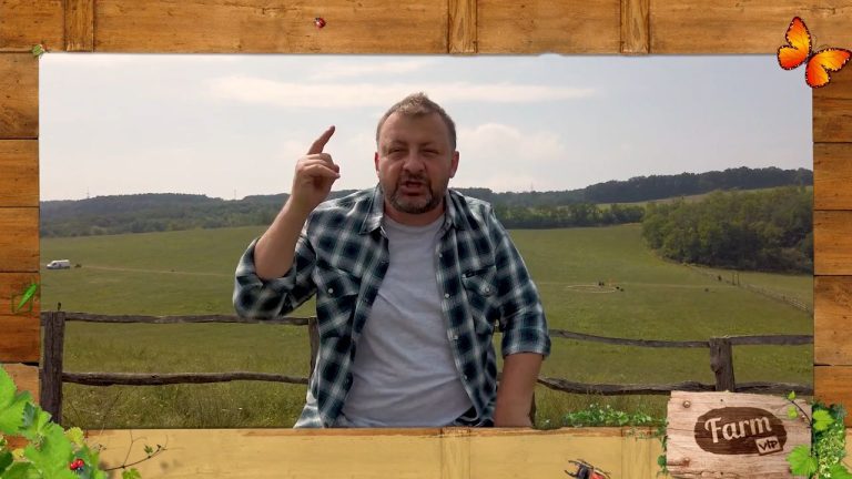 Gáspár Zsolti / Fotó: TV2