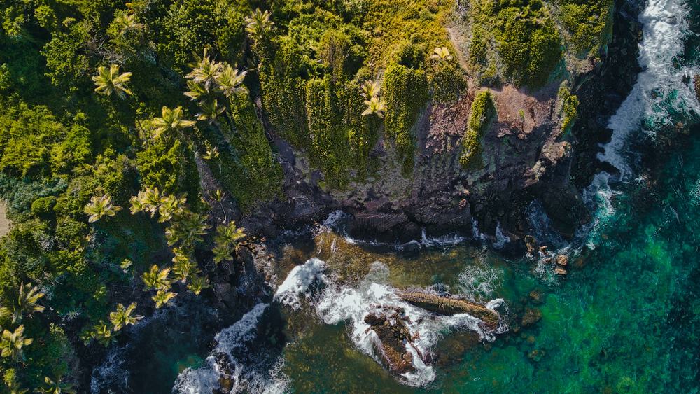 Fotó: Tobago - unsplash