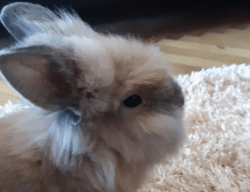 Fotó: Illusztráció / AcNews