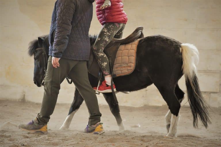Gyermekek gyógyulását segíti a lovasterápia