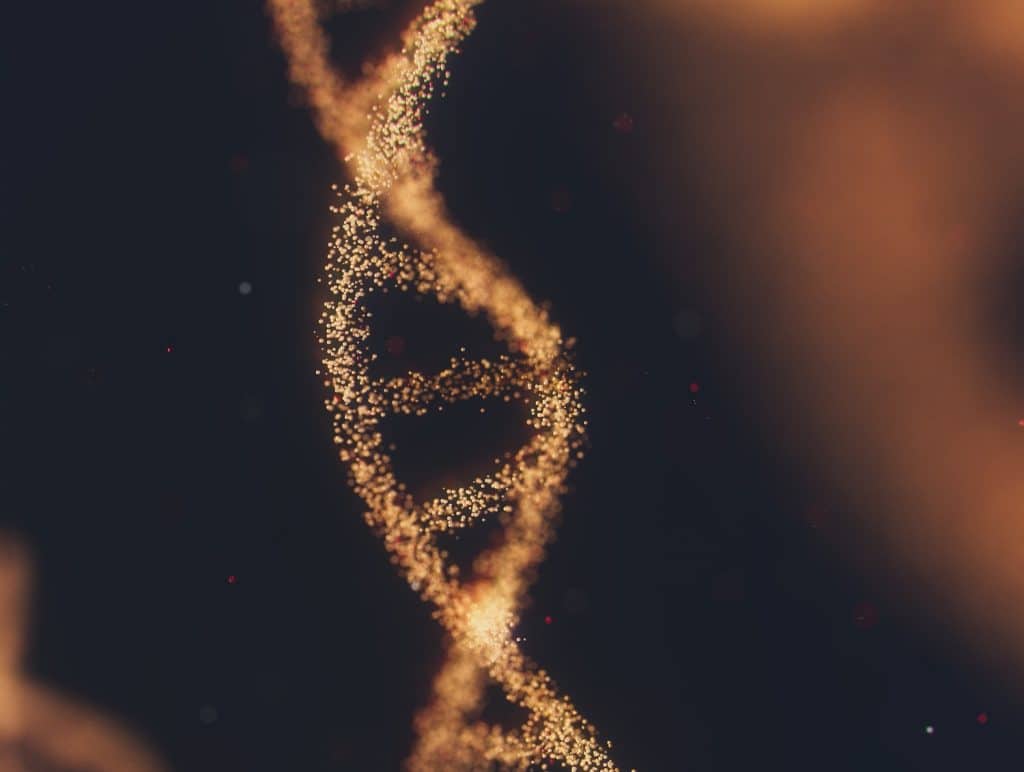 Fotó: Unsplash/ ANIRUDH