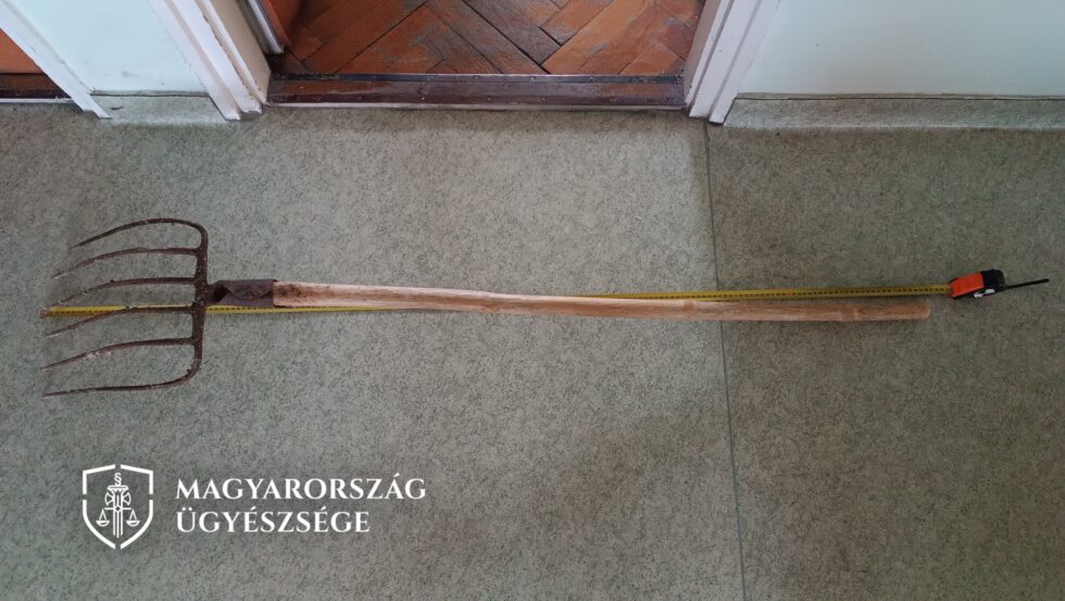 Nem szórakozott a tanyasi munkás: vasvillát vágott a főnök kocsijának a szélvédőjébe Fotó: Ügyészség