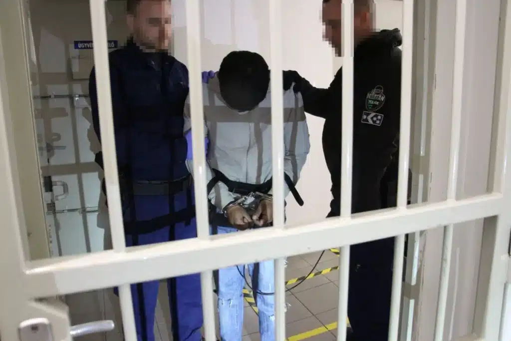 Hála a záhonyi rendőröknek, rács mögé került a 21 éves sorozatgyilkos Fotó: police.hu