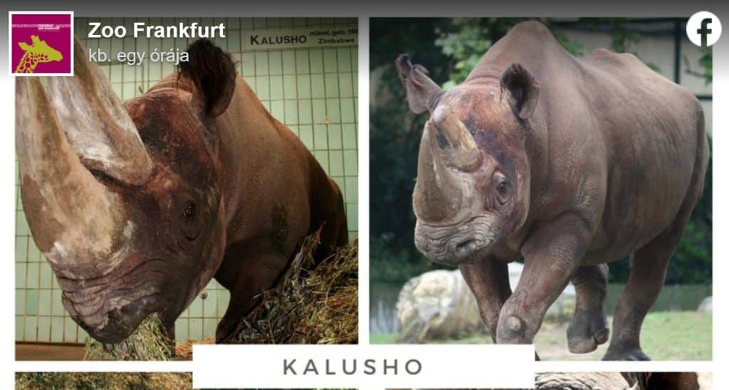 fotó: Zoo Frankfurt