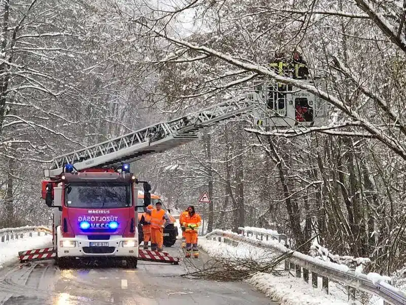 Fákat csavar ki, tetőket bont meg a szélvihar Fotó: BM Katasztrófavédelmi Főigazgatóság