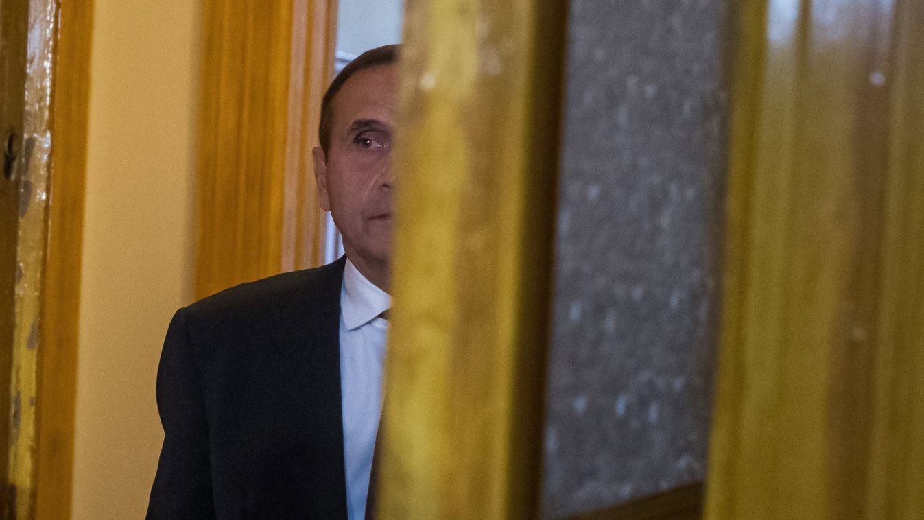 Gyárfás Tamás Fotó: MTI/Balogh Zoltán