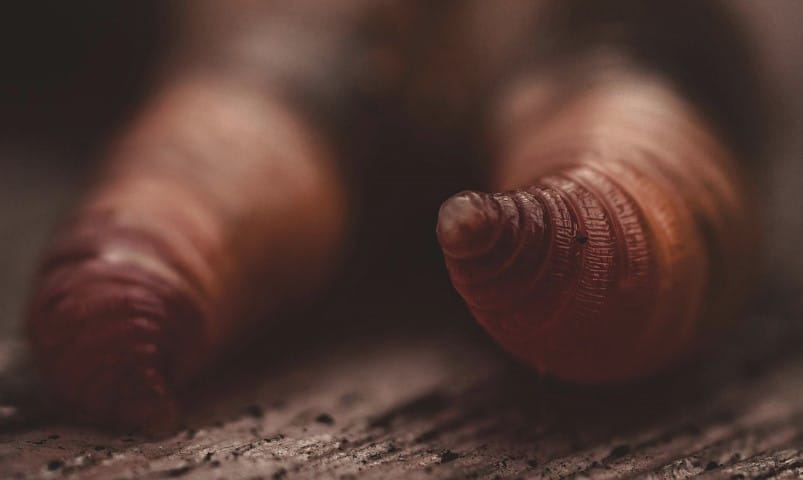 Fotó: Illusztráció / Pexels