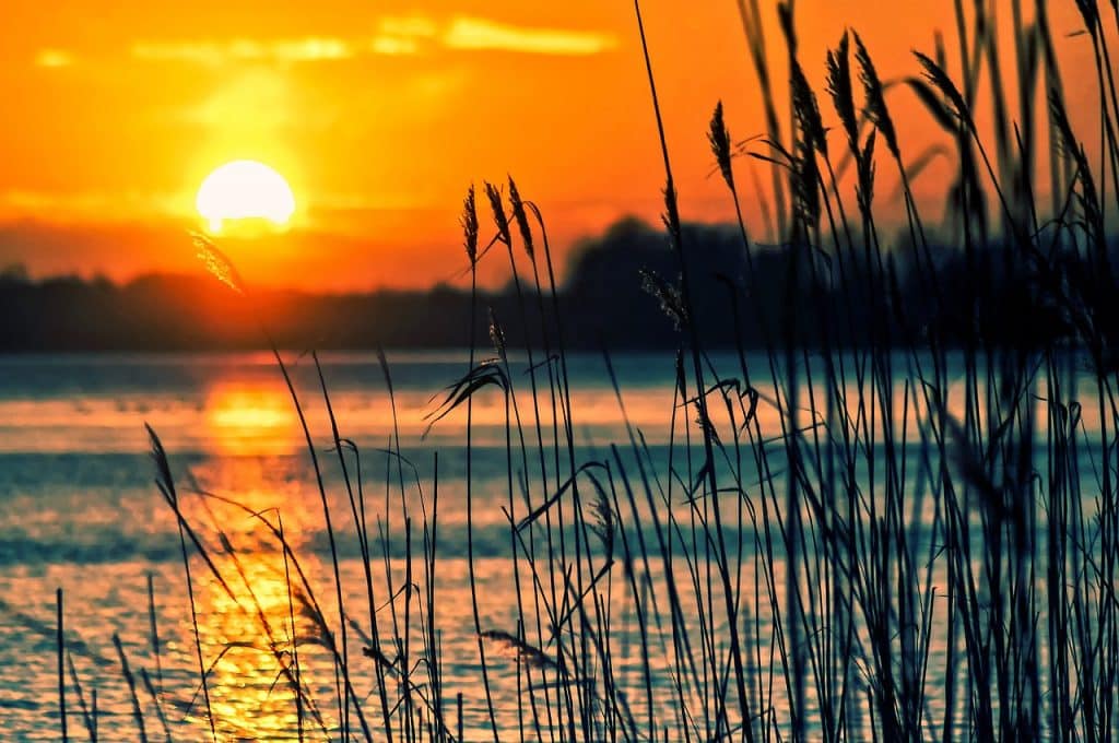 Fotó: Illusztráció / Pixabay