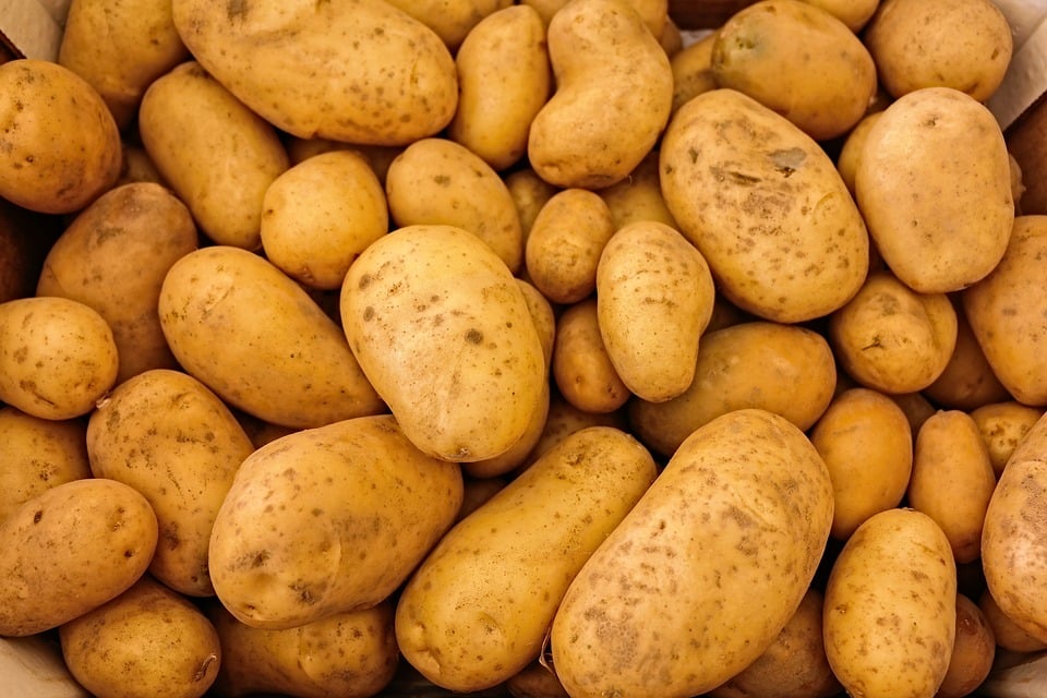 Egy zsák krumpli megölt egy egész családot Fotó: Pixabay