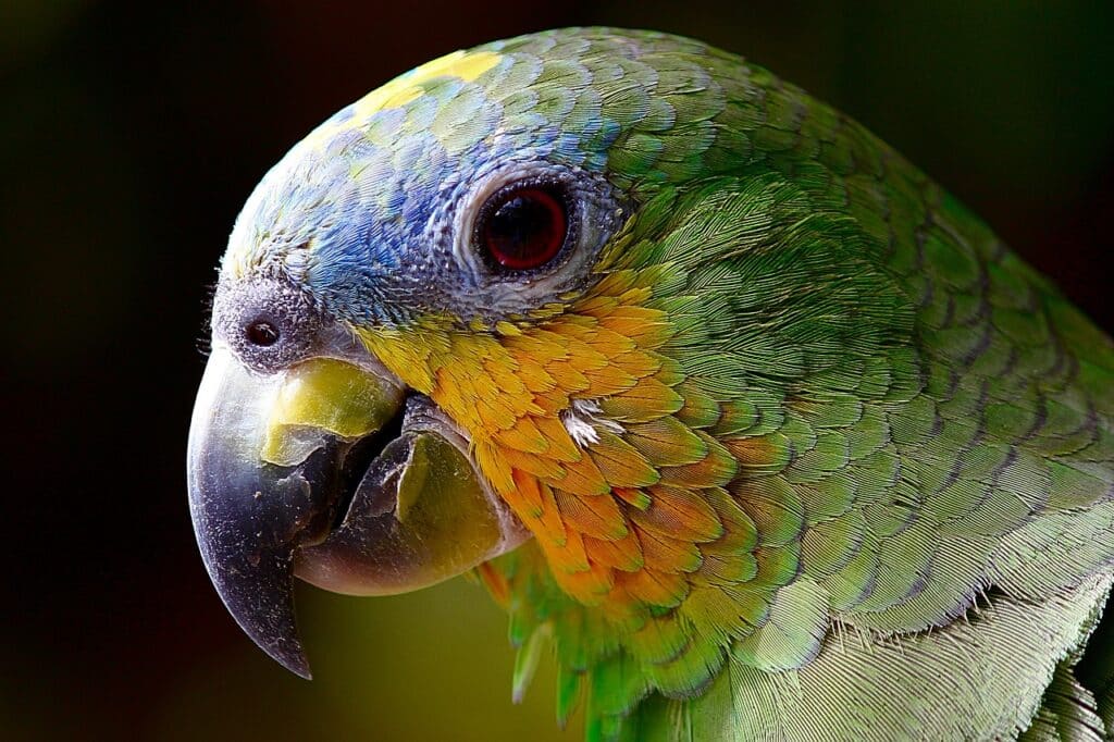 Fotó: Pixabay / Illusztráció