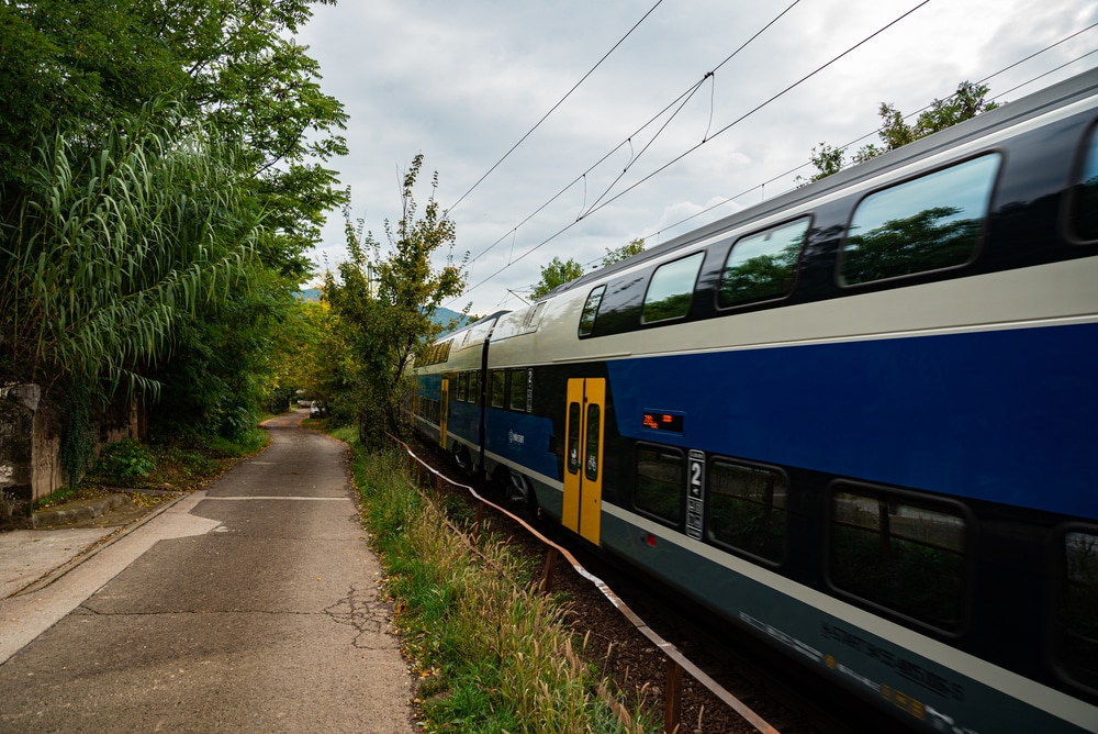 Illusztráció / Fotó.: Shutterstock