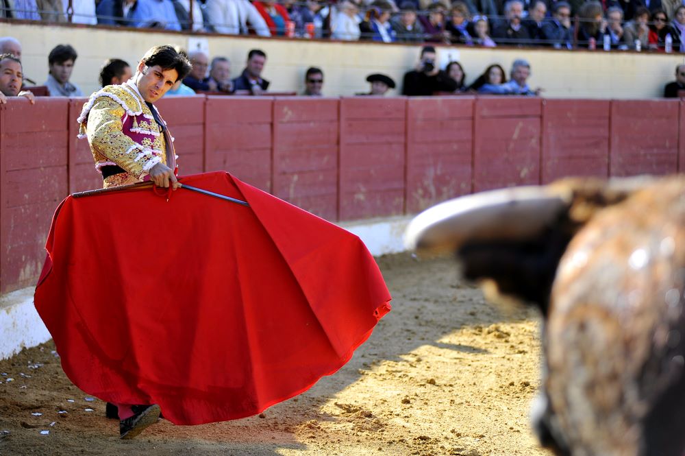Spanyol sokkoló: ingyen mehetnek bikaviadalra a kisgyerekek