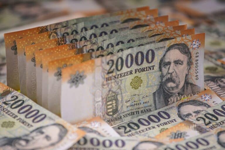 Forint / Fotó: Shutterstock