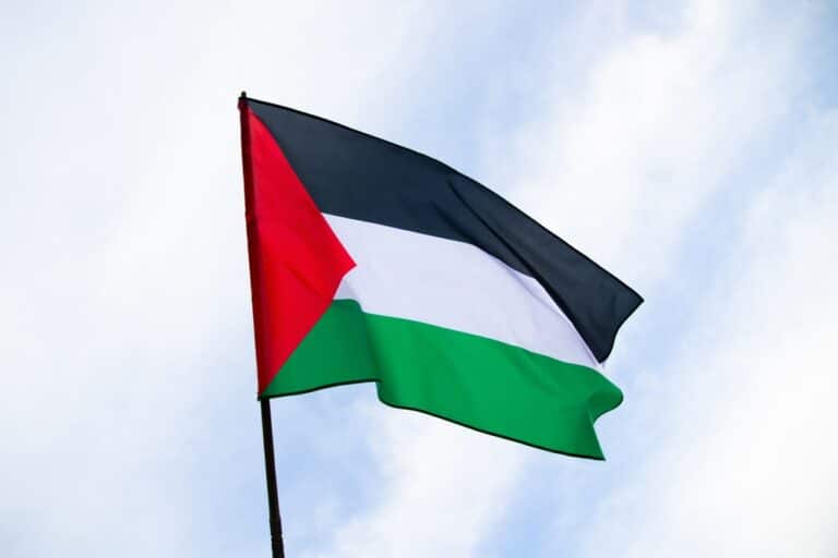 Palesztin zászló / Fotó: Shutterstock