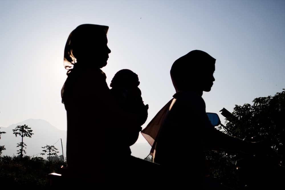 Illusztráció / Fotó: Shutterstock