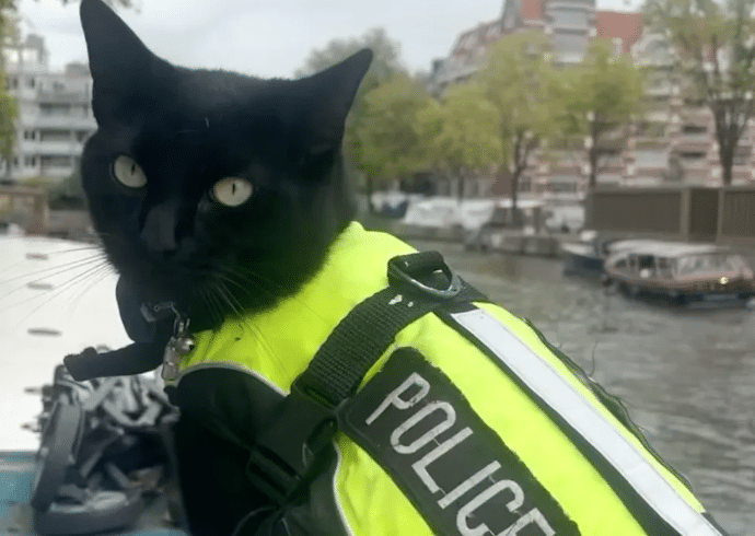 Fotó: police_cat_amsterdam/Instagram