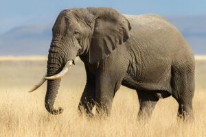 Illusztráció / Fotó: Shutterstock