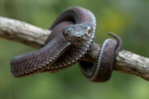 Illusztráció / Fotó: Shutterstock