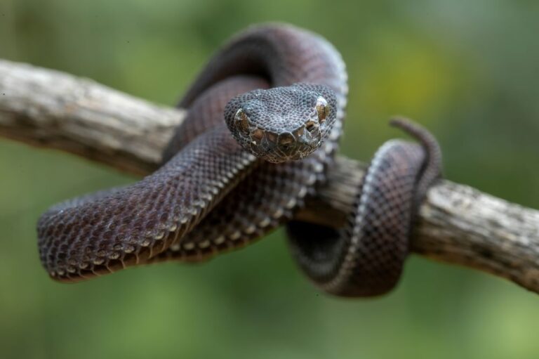 Fotó: Shutterstock