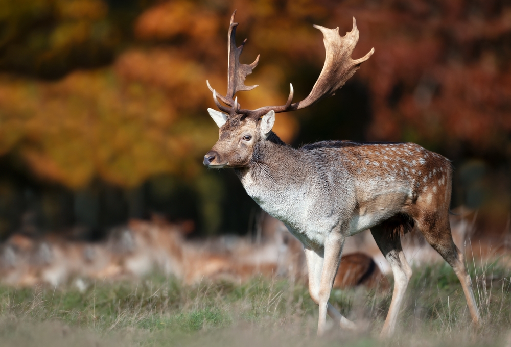 Illusztráció / Fotó: Shutterstock