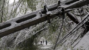 Fotó: hirado.hu