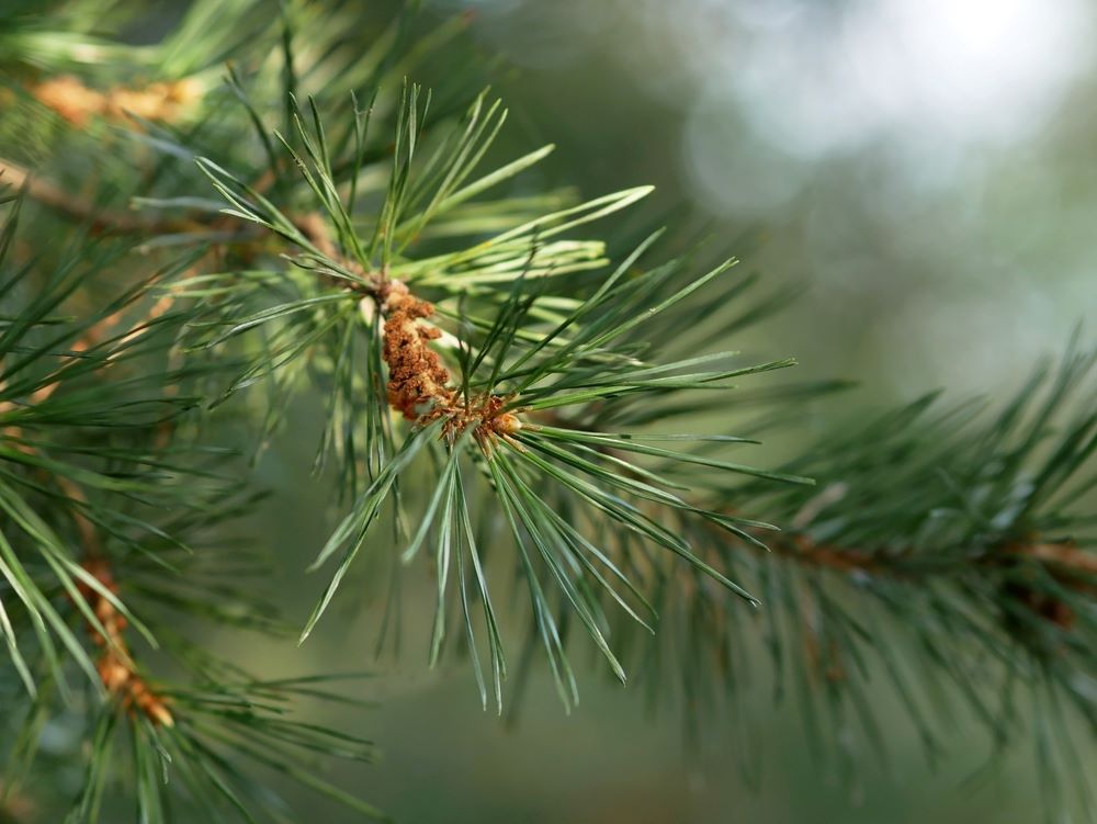 Illusztráció / Fotó: Shutterstock