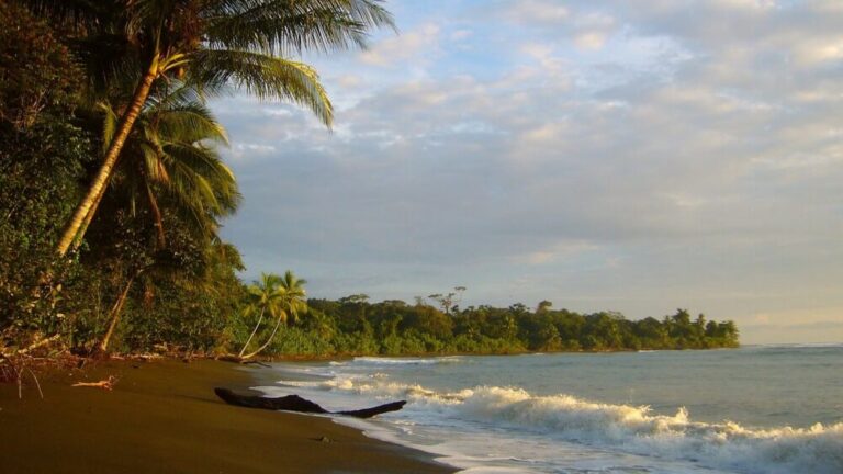 Illusztráció / Kép: Pixabay