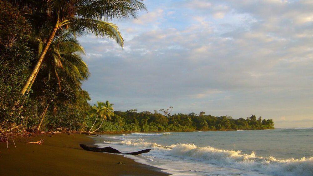 Illusztráció / Kép: Pixabay