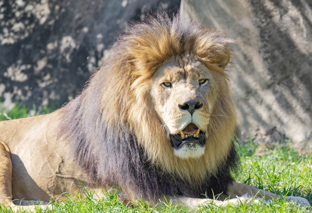 Illusztráció / Fotó: Shutterstock