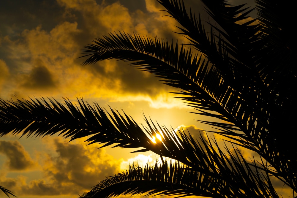 Illusztráció / Fotó: Shutterstock