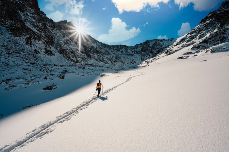 Illusztráció / Fotó: Shutterstock