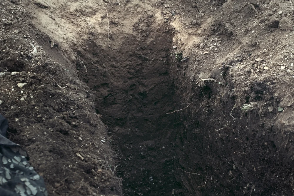 Illusztráció / Fotó: Shutterstock