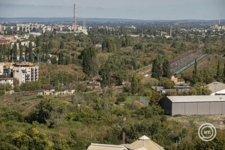 Rákosrendező / Fotó: MTI-Szigetváry Zsolt