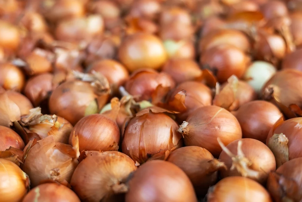 Illusztráció / Fotó: Shutterstock