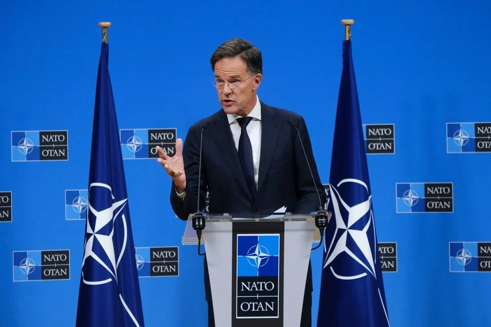 Rutte / Fotó: Shutterstock