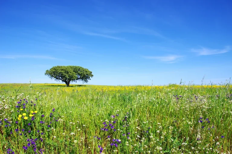 Illusztráció / Fotó: Shutterstock