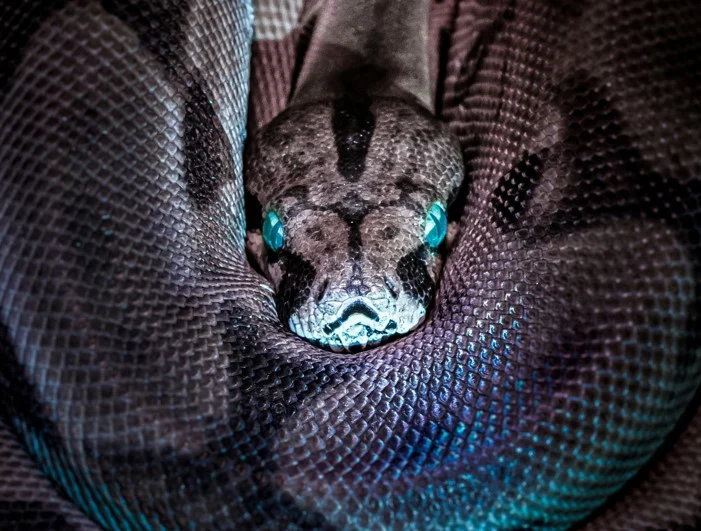 Illusztráció / Kép: Pexels