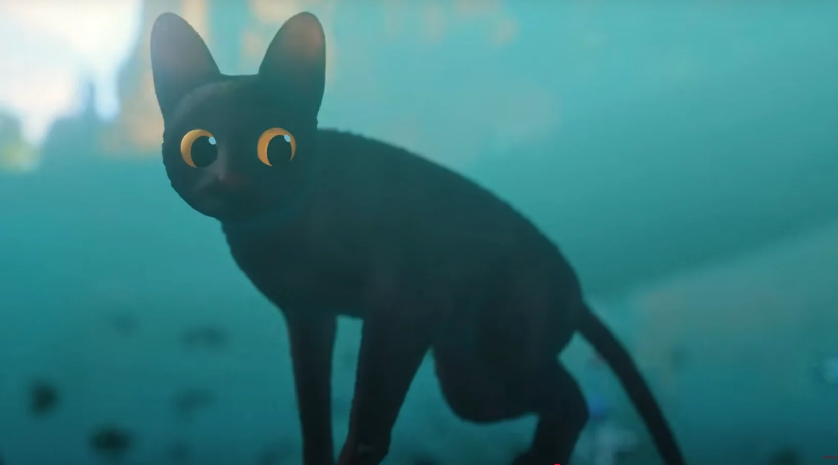 Fotó: YouTube képernyőkép (Vertigo Media)