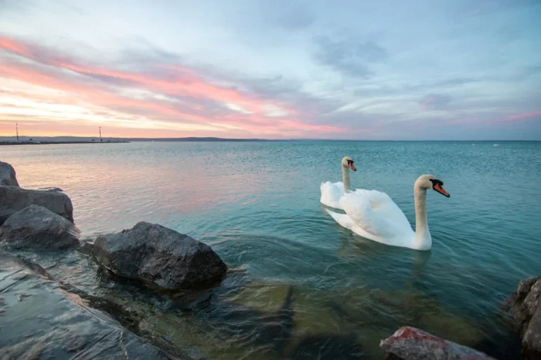 Illusztráció / Fotó: Shutterstock