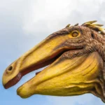 Illusztráció / Fotó: Shutterstock