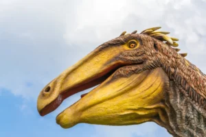 Illusztráció / Fotó: Shutterstock