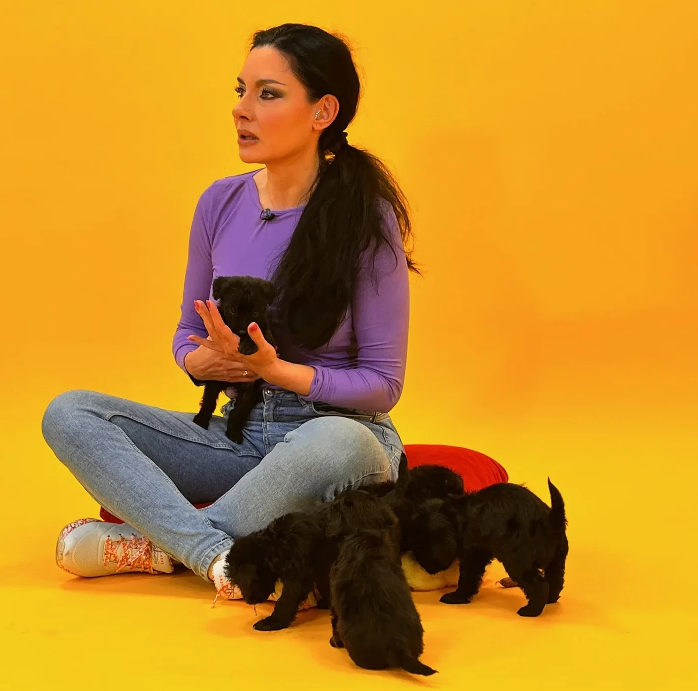 Fotó: Gregor Bernadett / AcNews