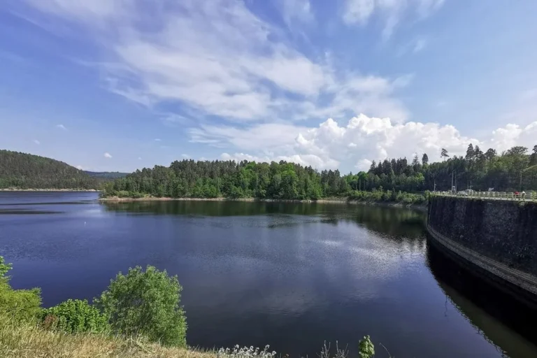 Illusztráció / Fotó: Shutterstock