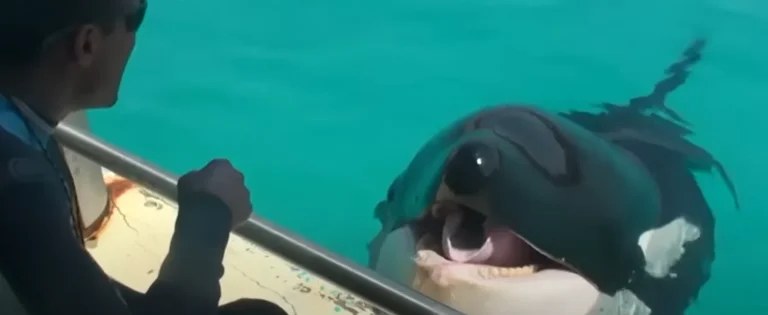 Fotó: YouTube képernyőkép (CBS News)