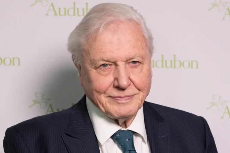 Sir David Attenborough / Fotó: Shutterstock