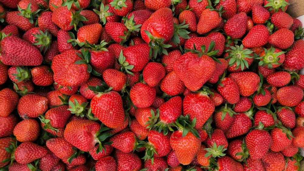 Illusztráció / Fotó: Shutterstock