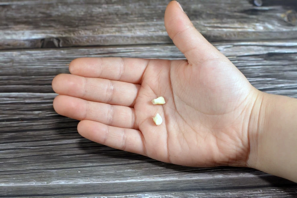 Illusztráció / Fotó: Shutterstock