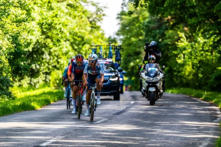 Illusztráció / Fotó: Shutterstock