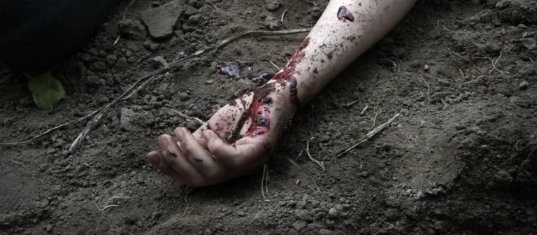 Illusztráció / Fotó: Shutterstock