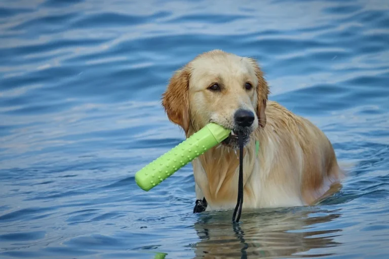 Illusztráció / Fotó: Shutterstock